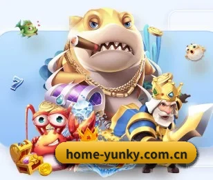 home-yunky.com.cn的故事 - 体育资讯内容服务